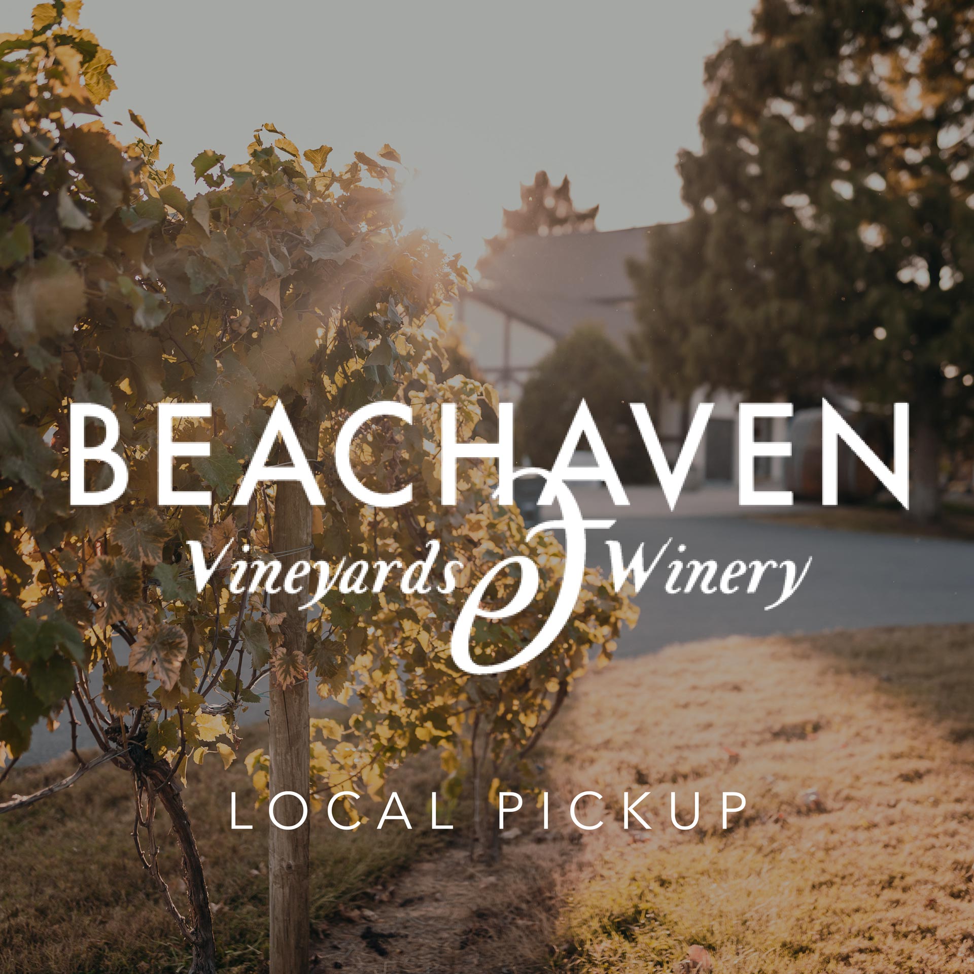 Swig 14oz Wine Tumbler (pattern) - Beachaven Vineyards & Winery -  Clarksville, TN